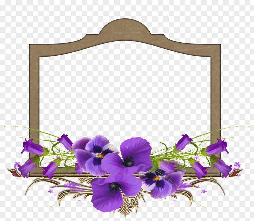 Flower Borders Frames Floral Design African Violets Picture PNG