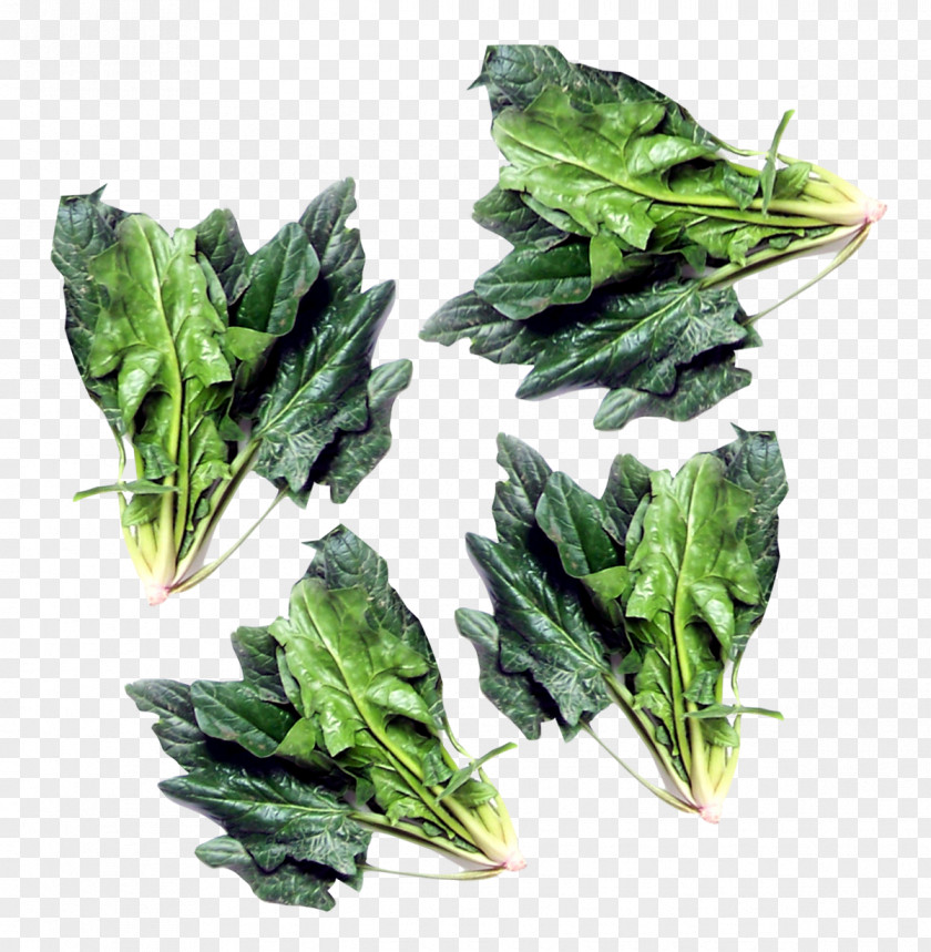 Green Spinach Vegetarian Cuisine Chard Komatsuna Vegetable PNG