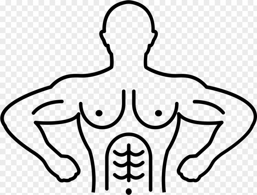Gymnastics Clip Art Muscle Fitness Centre Training PNG