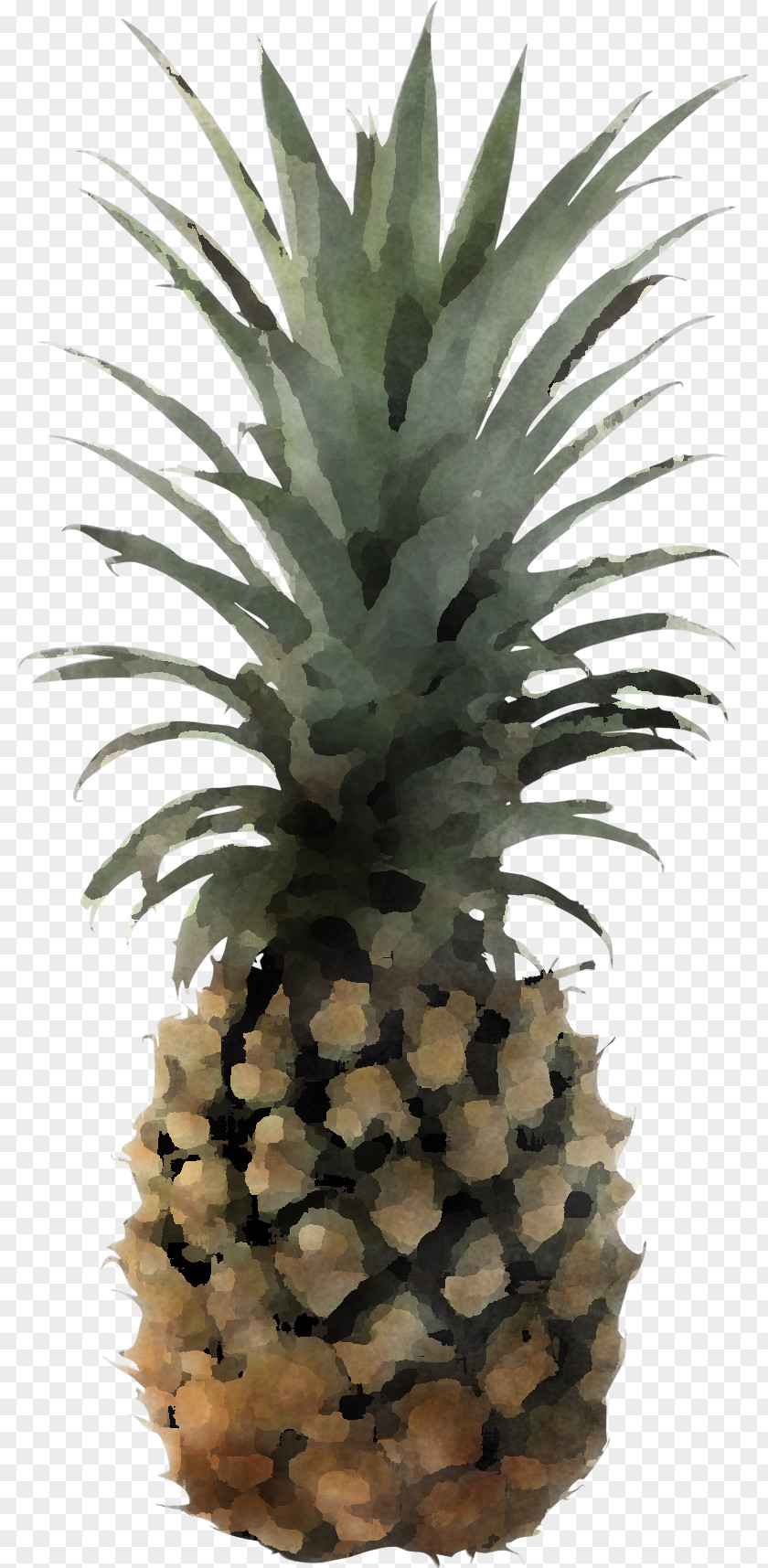 Pineapple PNG