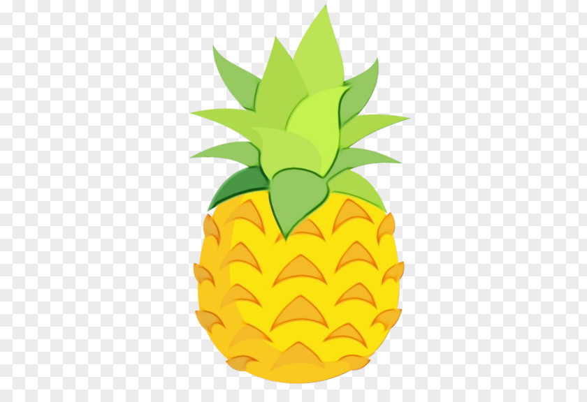 Poales Leaf Pineapple PNG