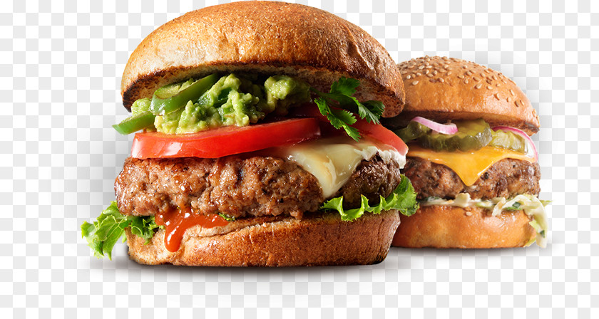Burger Fries Hamburger Cheeseburger French Fast Food Pizza PNG