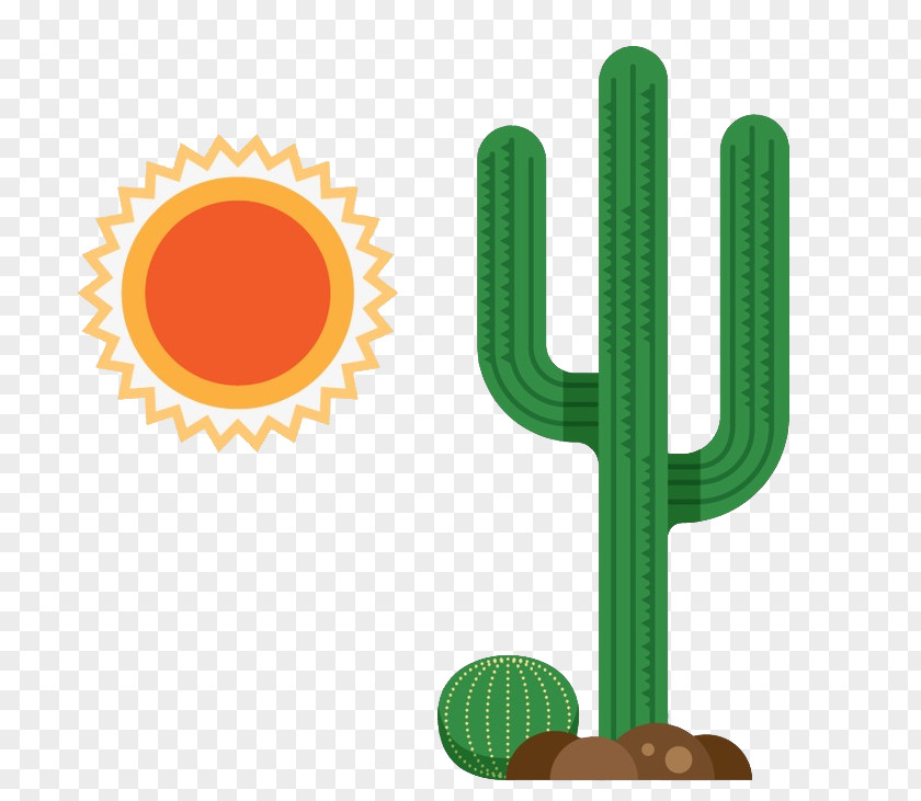 Cactus Sun Mexican Cuisine Clip Art Vector Graphics Stock Photography PNG