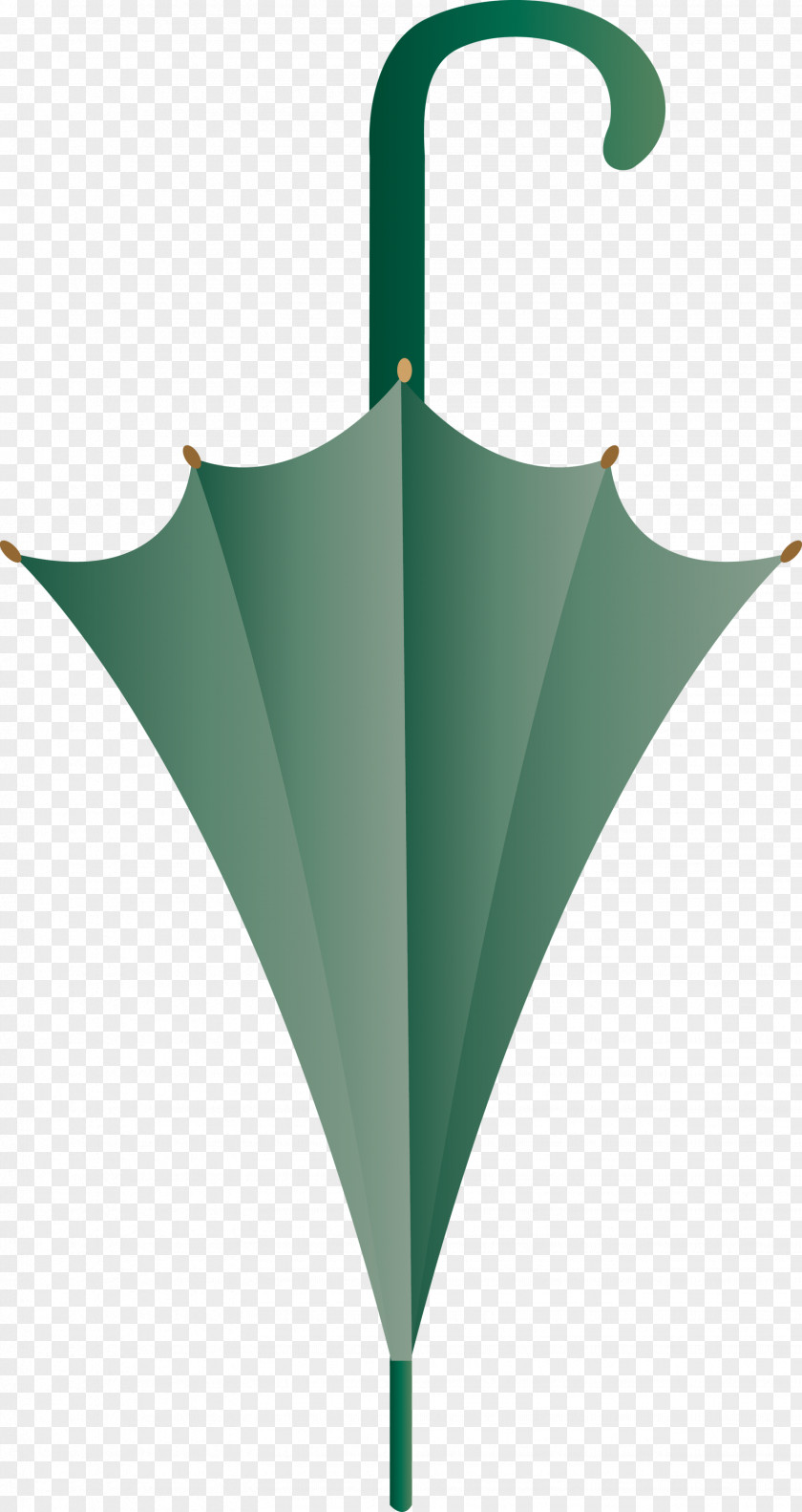 Green Leaf Umbrella Plant Logo PNG