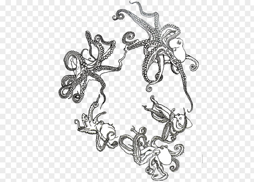 Insect Octopus Visual Arts Line Art PNG