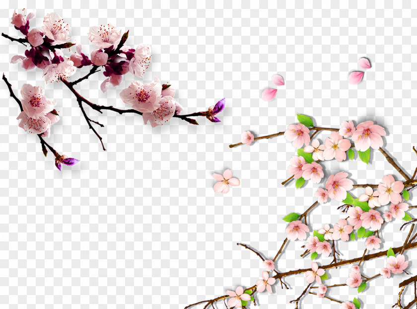 Peach Blossom Decorated Background Lucerne China Cherry Hanami Plum PNG