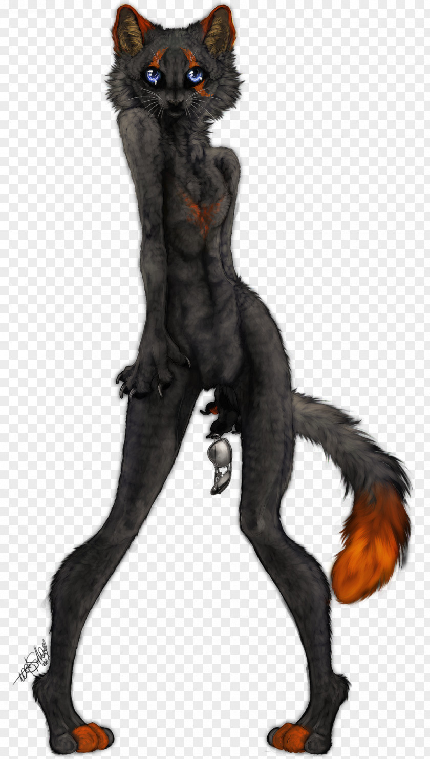 Wolf Spirit Cat Werewolf Dog Fur Canidae PNG