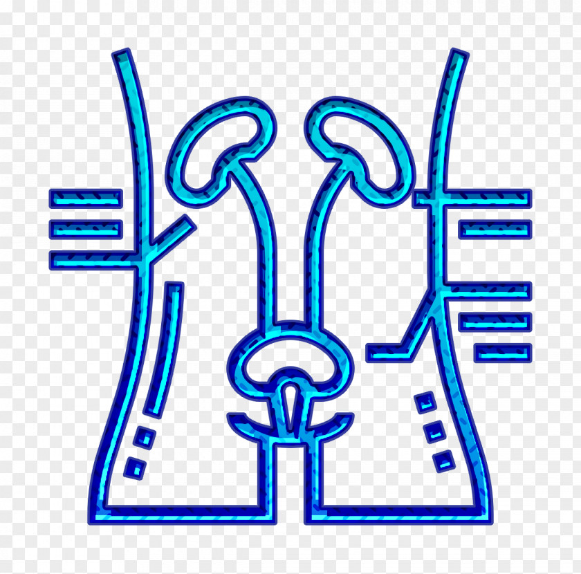 Health Checkups Icon Kidney Blood PNG
