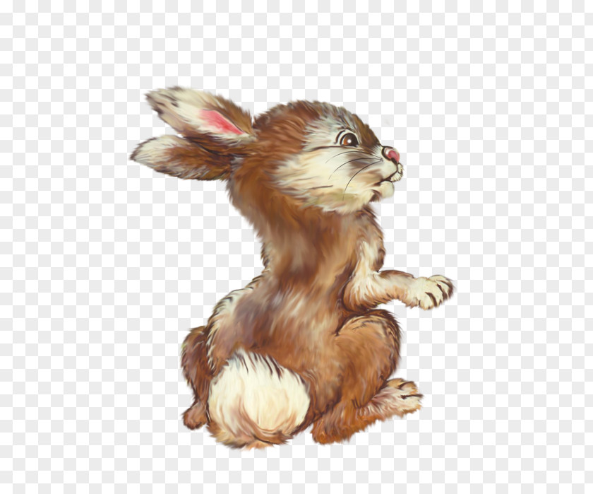 Rabbit Clip Art PNG