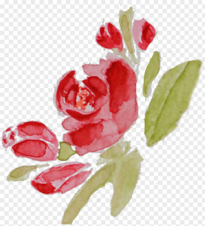 Rose Watercolor Flower Painting Photography Drawing PNG