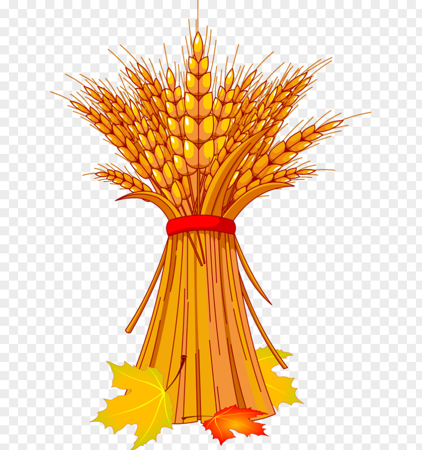 Wheat Fealds Harvest Festival Autumn Clip Art PNG