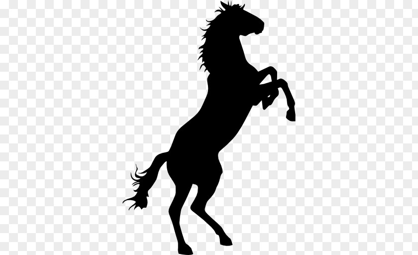 Animal Silhouettes Standing Horse Ragdoll Clip Art PNG