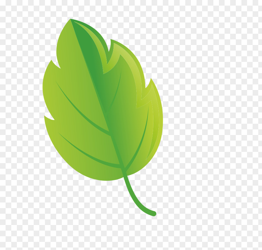 Flower Tree Leaf Green Plant Logo PNG