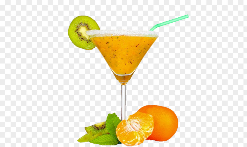 Juice Orange Cocktail Garnish Pomegranate PNG