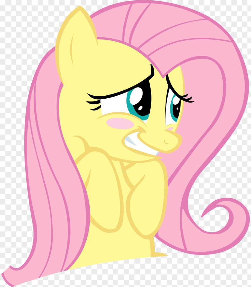 My Little Pony Fluttershy Pinkie Pie Rarity Rainbow Dash PNG