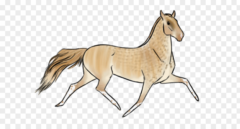 Salvador Dali Mane Mustang Foal Stallion Colt PNG