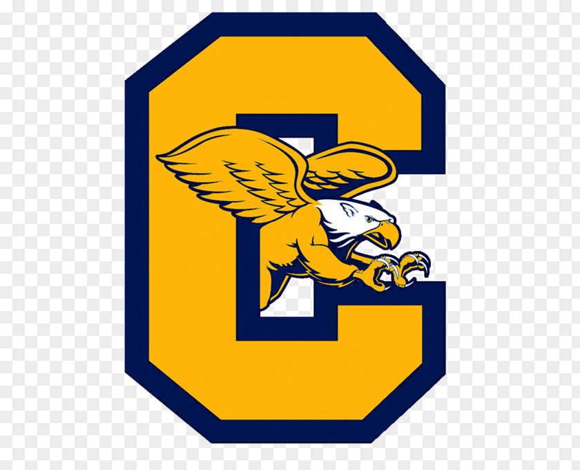 School Canisius College Golden Griffins Men's Ice Hockey Basketball Women's PNG