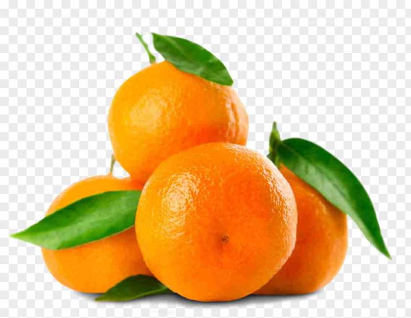 Tangelo Orange PNG