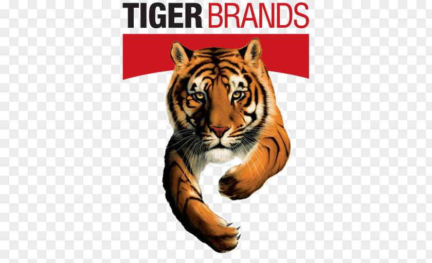 Tony The Tiger 2017–18 South African Listeriosis Outbreak Brands Chief Executive PNG