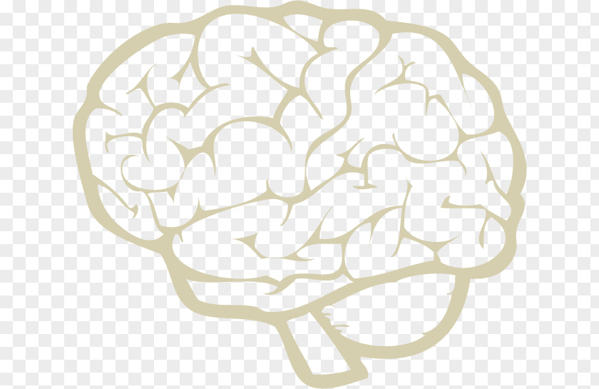 Brain Shape Drawing PNG