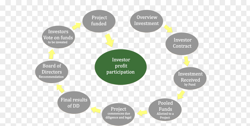 Business Investment Fund Organization Investor Funding PNG
