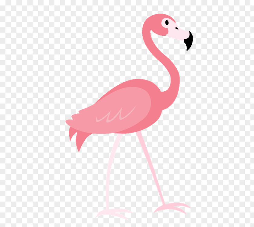 Flamingo Image Stock Photography Illustration PNG