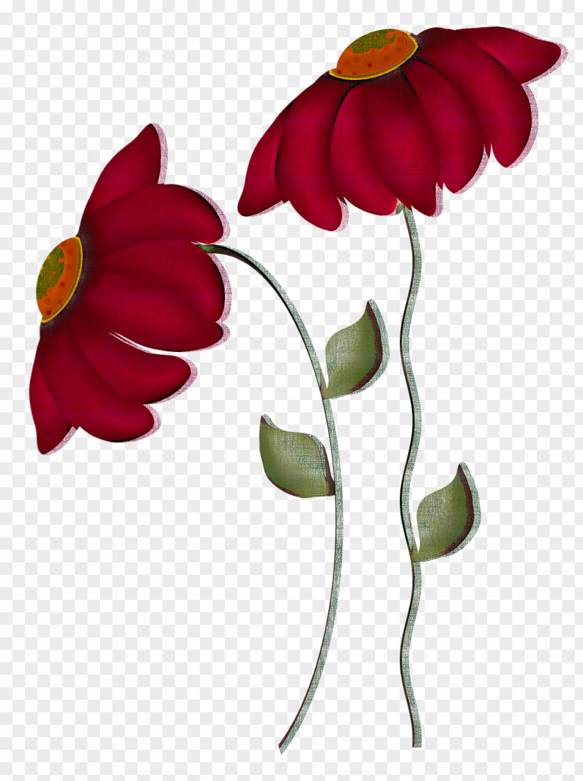 Flower Petal Plant Pedicel Leaf PNG