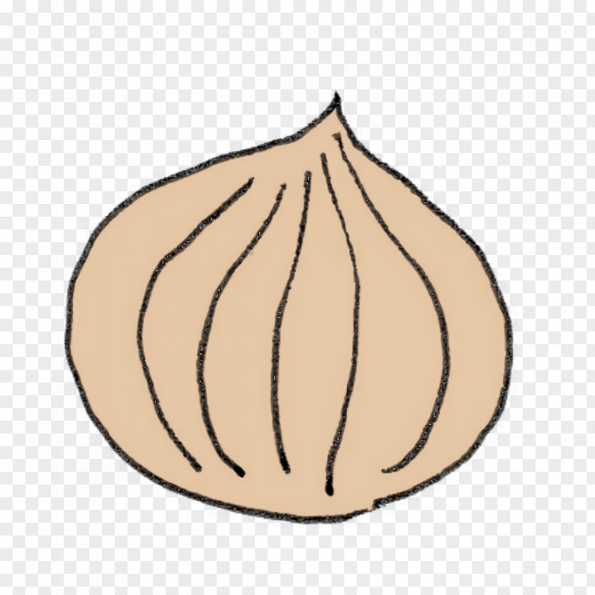 Fresh Vegetable PNG