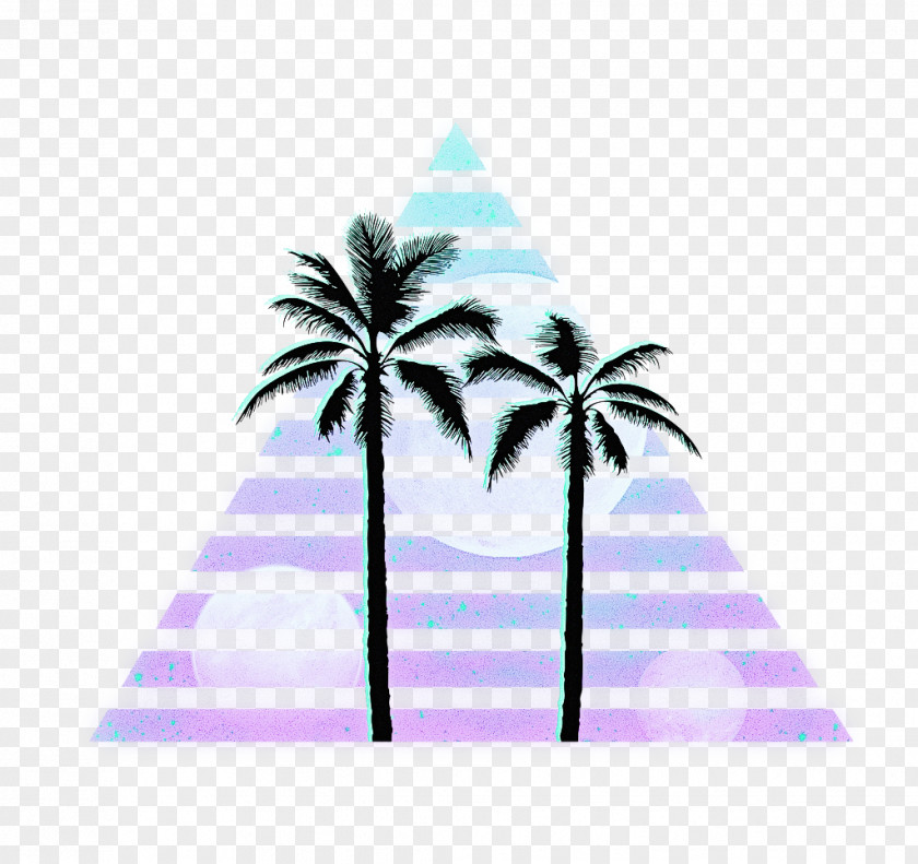 Palm Trees PNG