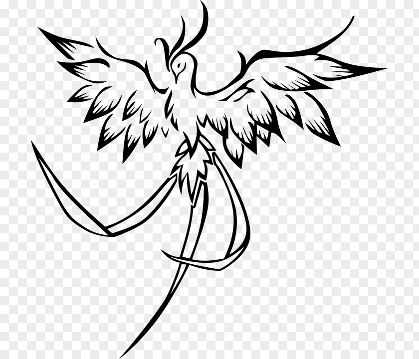 Tail Plant Bird Line Drawing PNG