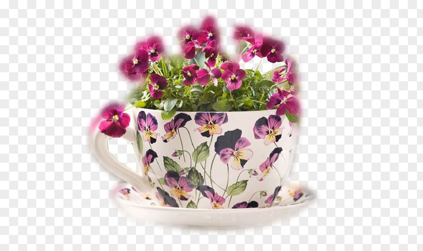 Cesta Teacup Flowerpot Saucer Vase PNG