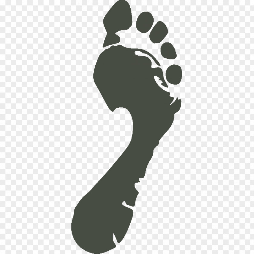 Foot Icon Finger Osteo4 Dogs Sticker Image PNG