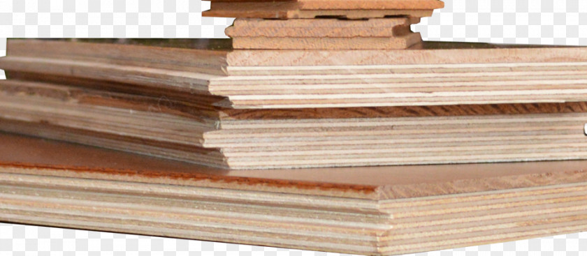 Hardwoods Hardwood PNG