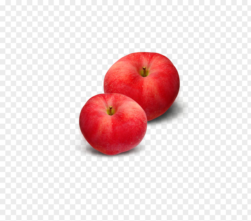 Two Red Apples MS-DOS Apple Software PNG