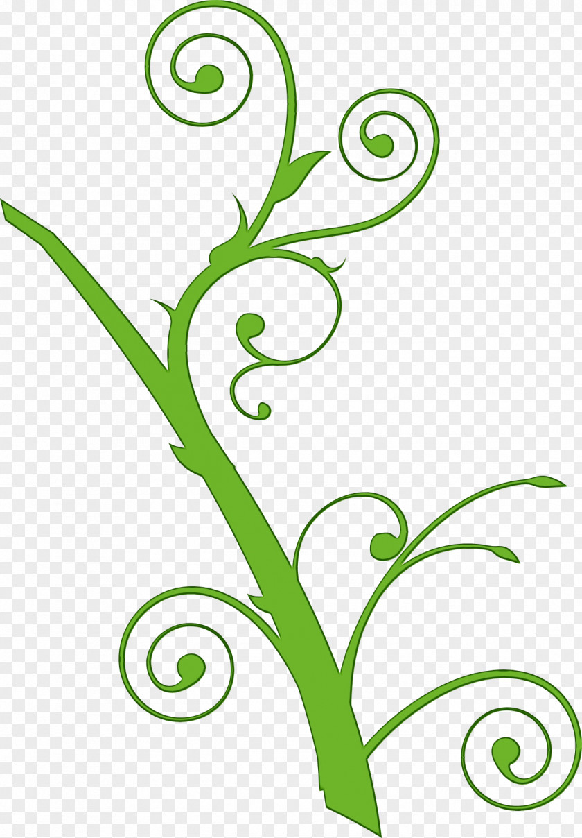 Vascular Plant Pedicel Green Leaf Watercolor PNG