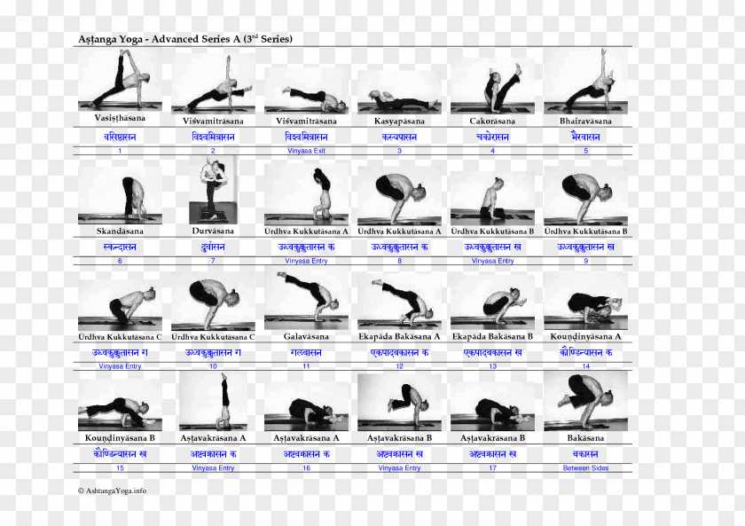 Yoga Ashtanga Vinyasa Vinyāsa Series Asana PNG