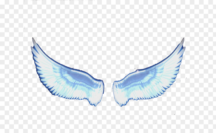 Angel Feather Wings Wing PNG