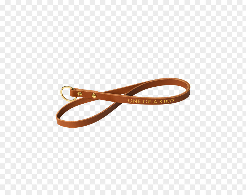 Belt Leash PNG