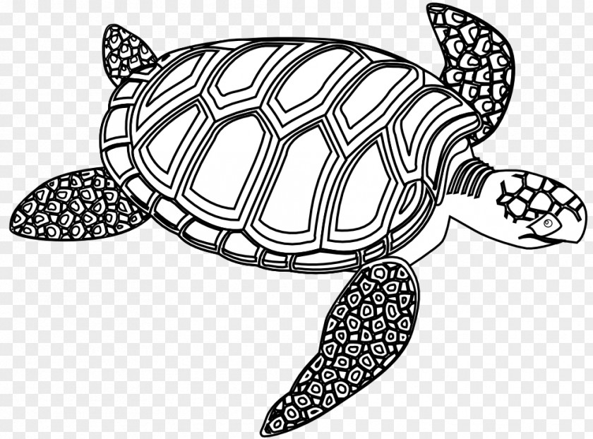 Free Turtle Clipart Sea Black And White Seahorse Clip Art PNG