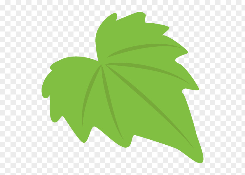Leaf Clip Art Plant Stem Tree Flowering PNG