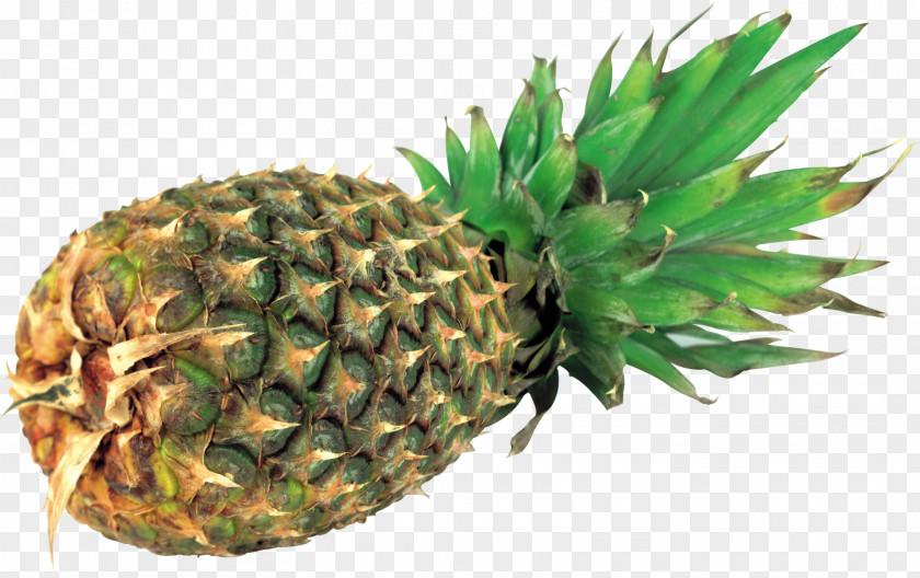 Pineapple Fruit Food Clip Art PNG