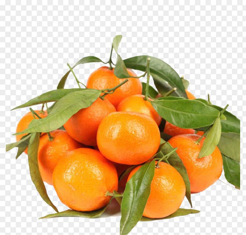 Sand Candy Picture Tangerine Lemon Chenpi Ugli Fruit Orange PNG