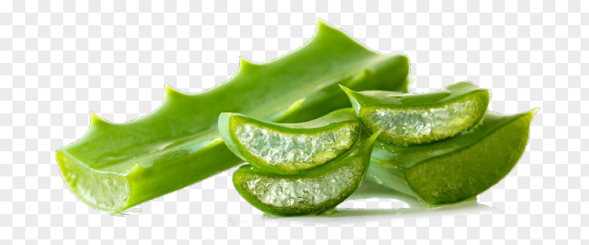 Health Skin Aloe Vera Lotion Therapy PNG
