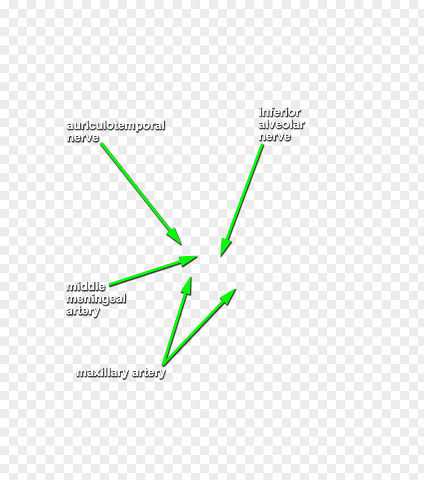Line Green Product Design Angle Diagram PNG