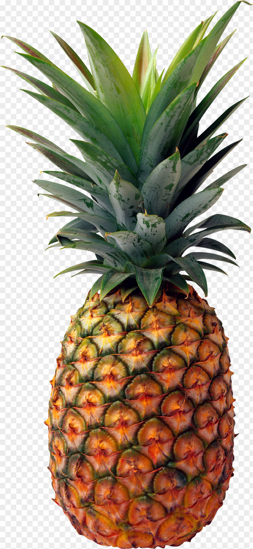 Pineapple Image, Free Download Juice Upside-down Cake PNG