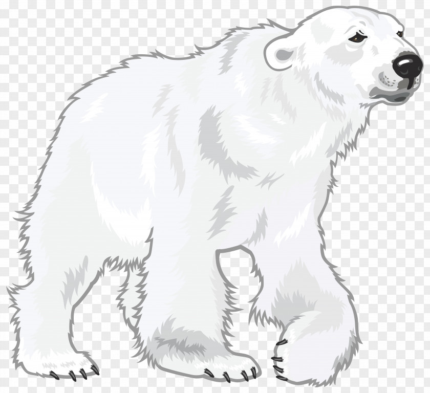 Polar Bear Great Pyrenees Regions Of Earth Download PNG