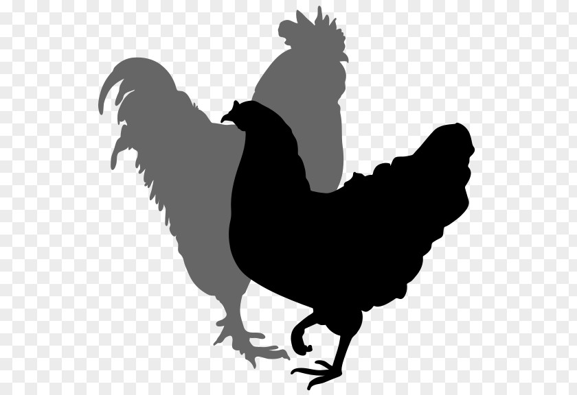 Rooster Silhouette Cliparts Chicken Hen Clip Art PNG