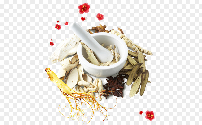 Chinese Medicine Herbs Herbology Traditional Medicinal Plants PNG