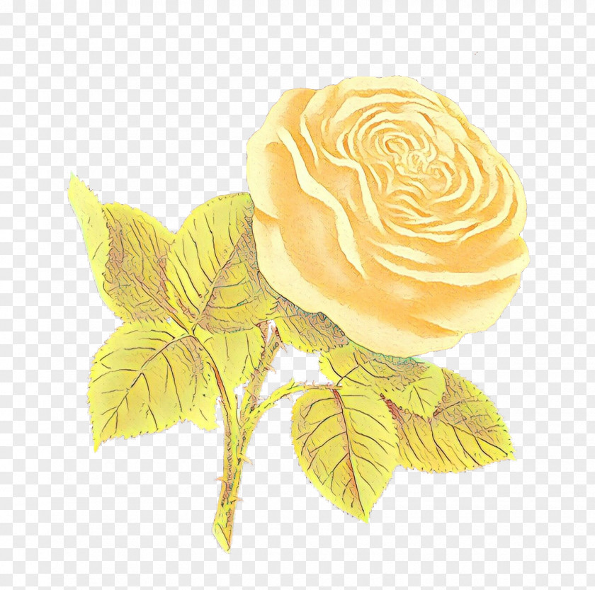 Rose Order Brooch Garden Roses PNG