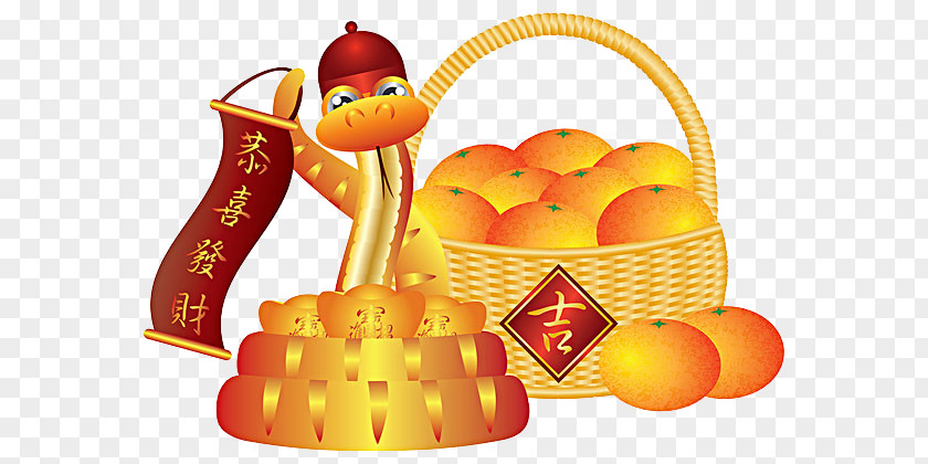 The Year Of Snake. Chinese New Mandarin Orange Illustration PNG
